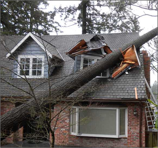 INSURANCE CLAIMS ASSISTANCE